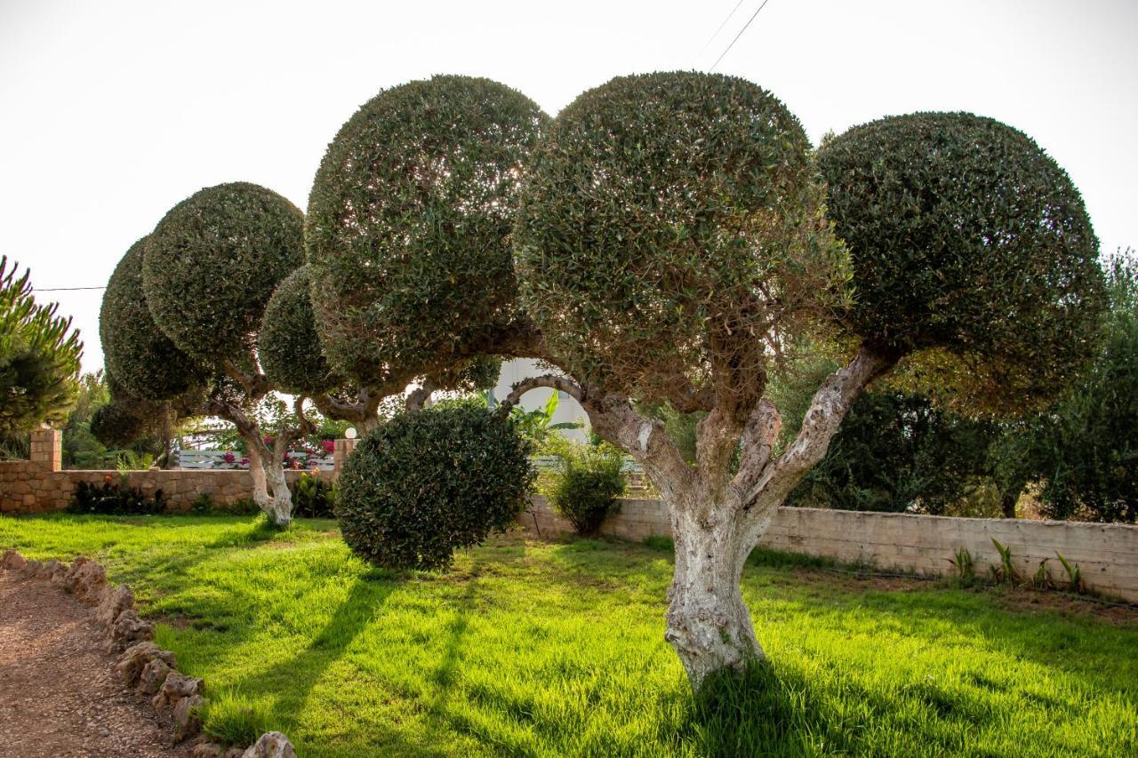מרתופוליס Lagouvardos Apartments מראה חיצוני תמונה