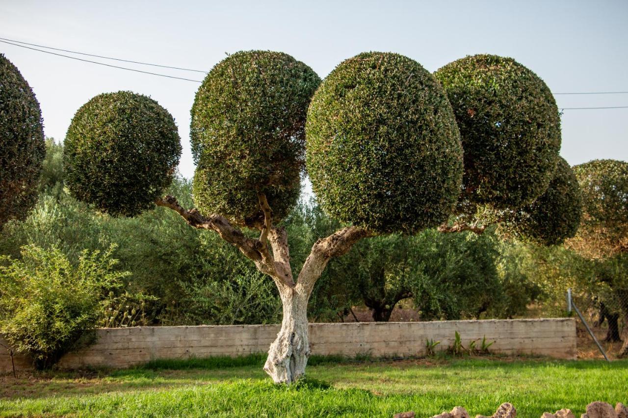 מרתופוליס Lagouvardos Apartments מראה חיצוני תמונה