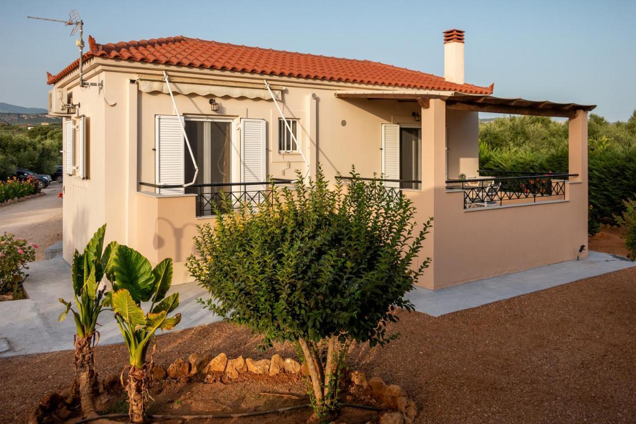 מרתופוליס Lagouvardos Apartments מראה חיצוני תמונה