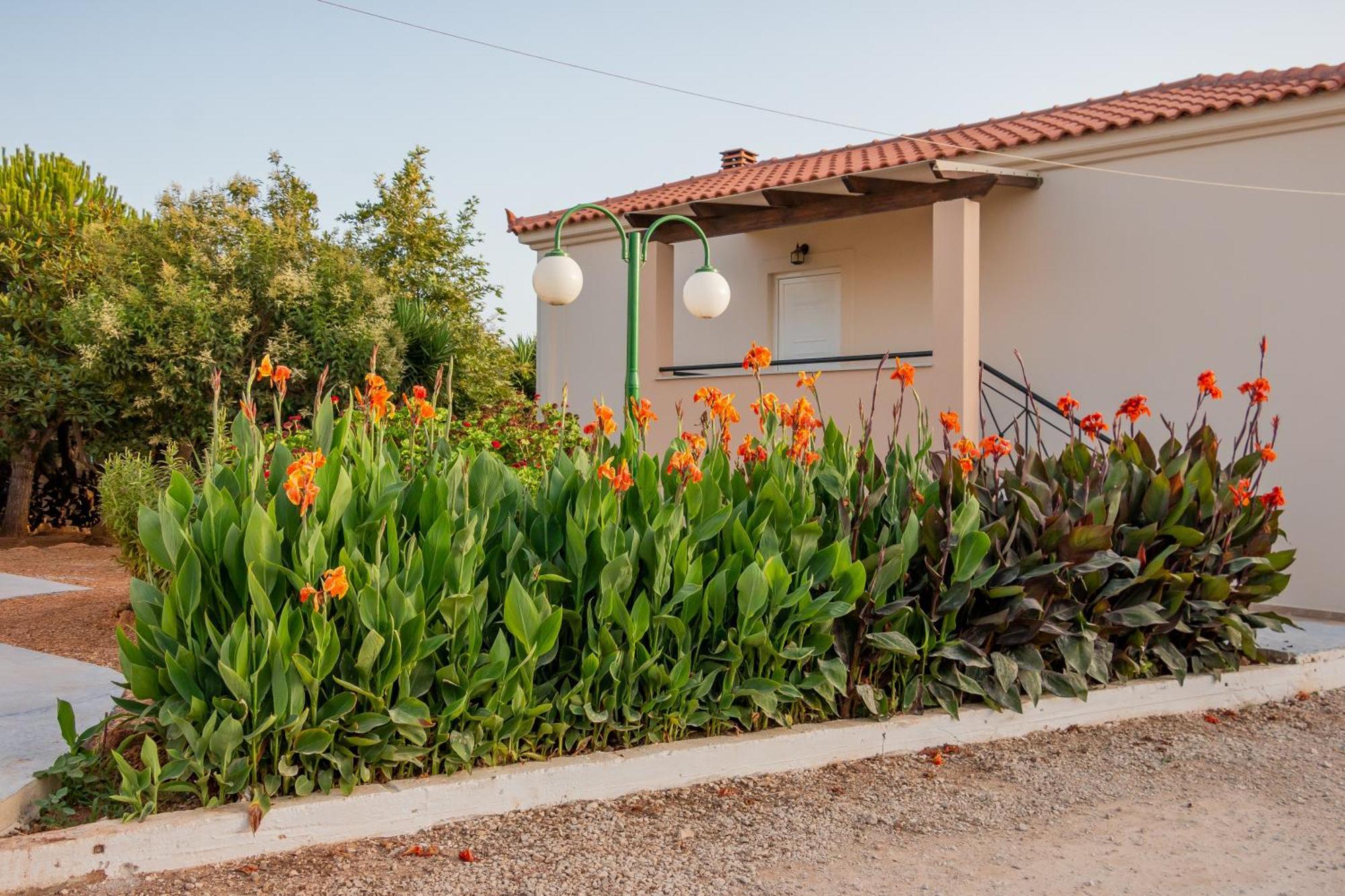 מרתופוליס Lagouvardos Apartments מראה חיצוני תמונה