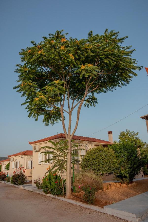 מרתופוליס Lagouvardos Apartments מראה חיצוני תמונה